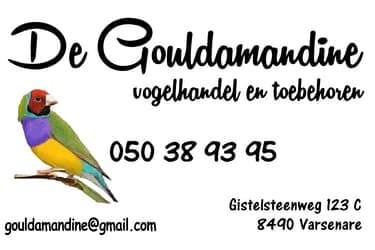 rsz_2logo_de_gouldamandine_1_1-1 (1).png
